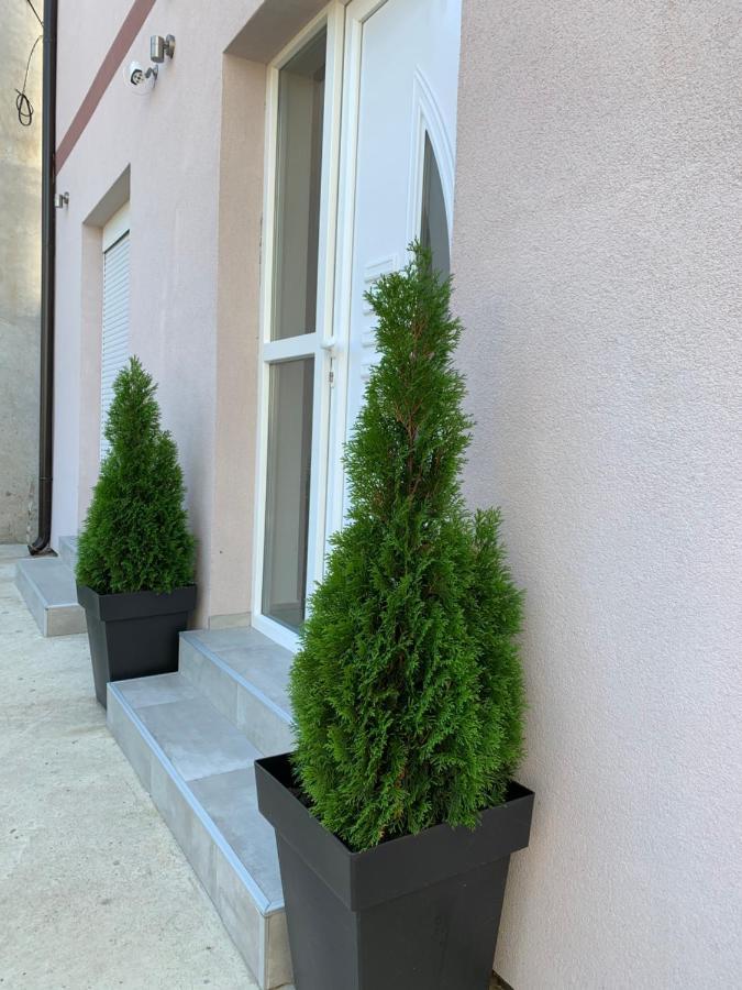Apartman Spring Sombor Exterior photo